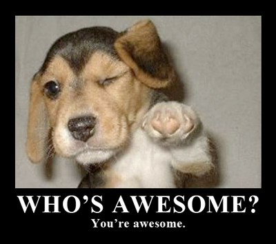 you are awesome