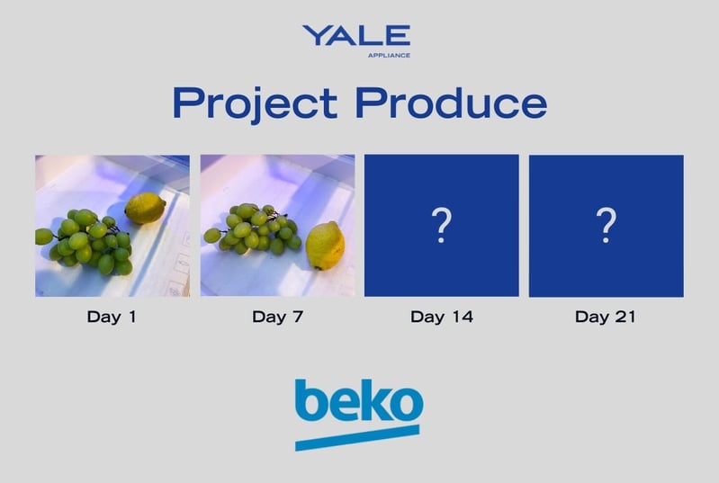Beko Fruit 2