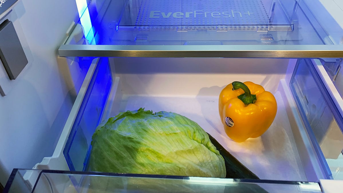 Should You Buy The Beko BFFD3624SS Counter Depth Refrigerator? (Reviews