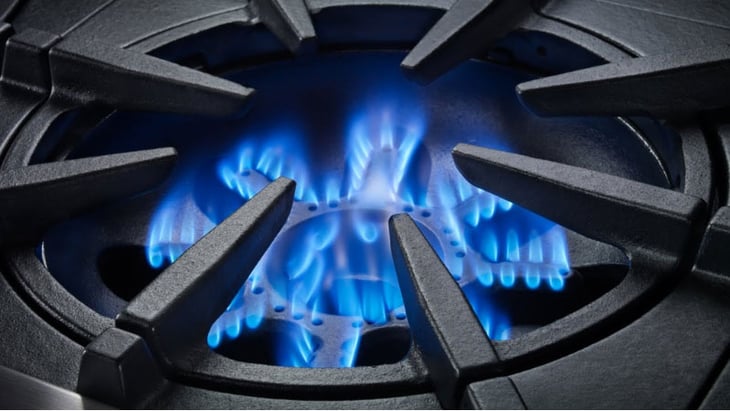 BlueStar-Pro-Range-Open-Burner