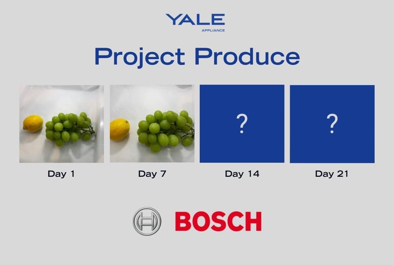 Bosch Fruit