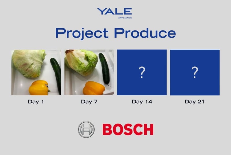 Bosch Vegetable