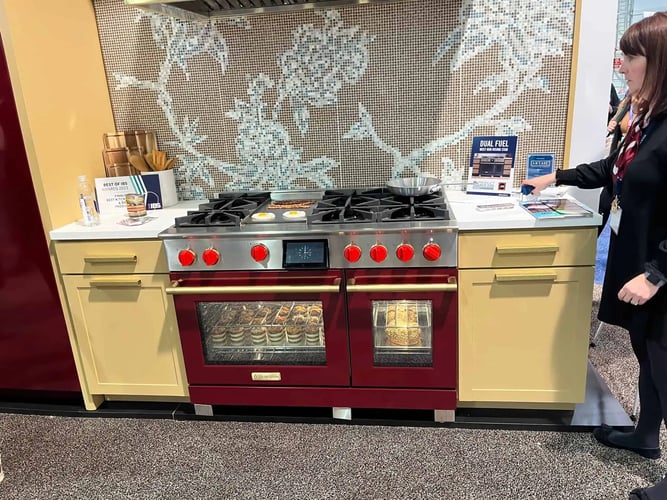 BlueStar dual fuel pro range