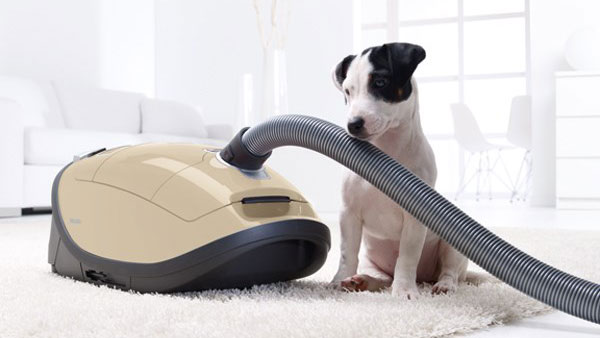Best Miele Vacuums For 2021 (Reviews 