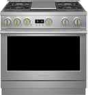 Monogram-36-Inch-Gas-Pro-Range-ZGP364NDTSS