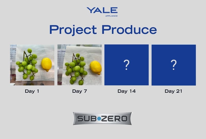 Project Produce Sub-Zero - Fruits