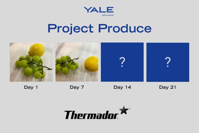 Project Produce Thermador - Fruits