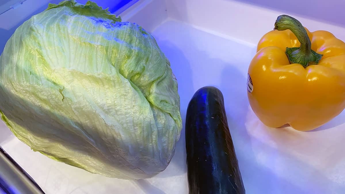 Should You Buy The Beko BFFD3624SS Counter Depth Refrigerator? (Reviews