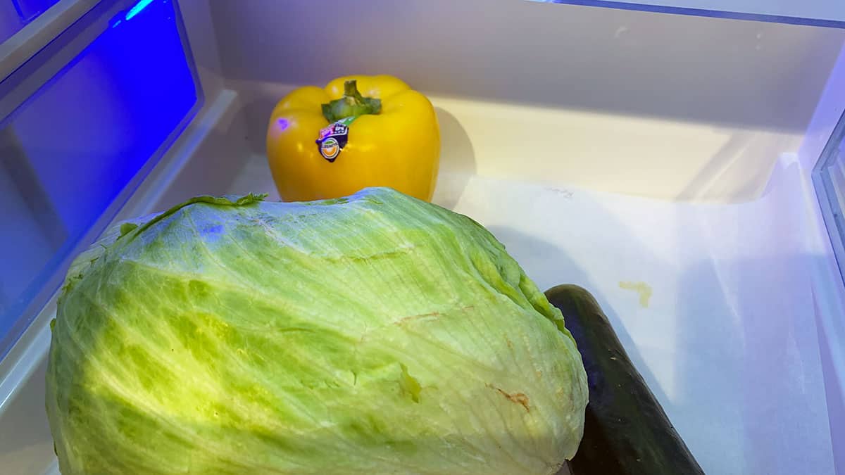 Should You Buy The Beko BFFD3624SS Counter Depth Refrigerator? (Reviews