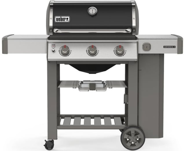 WEBER-66011001