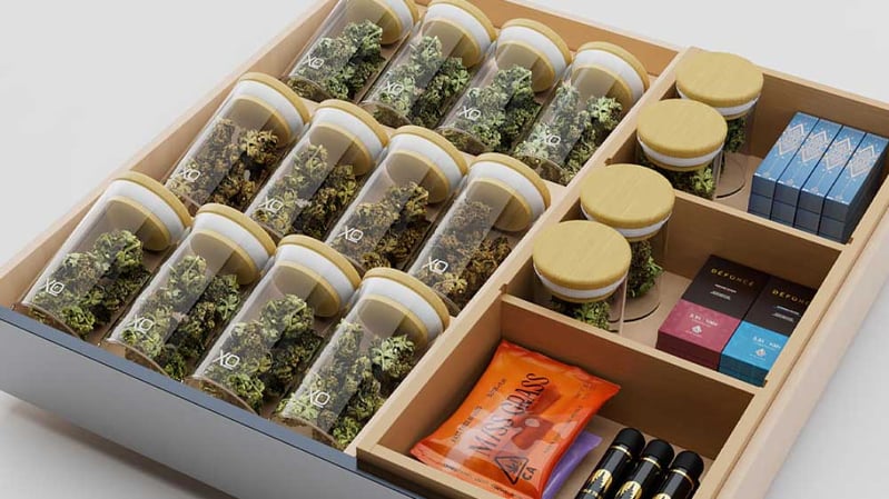 XO-Undercounter-Wine-and-Weed-Refrigerator-XOU24WWGS