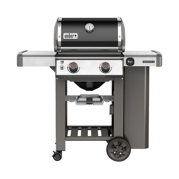 Weber-Grill-Genesis-II E-210.jpg Weber-Grill-Genesis-II E-210.jpg