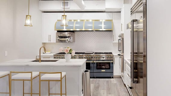 Is BlueStar a Good Professional Gas Range?