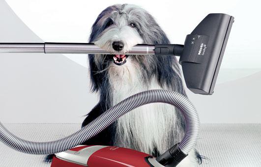 Miele C3 Cat & Dog vacuum