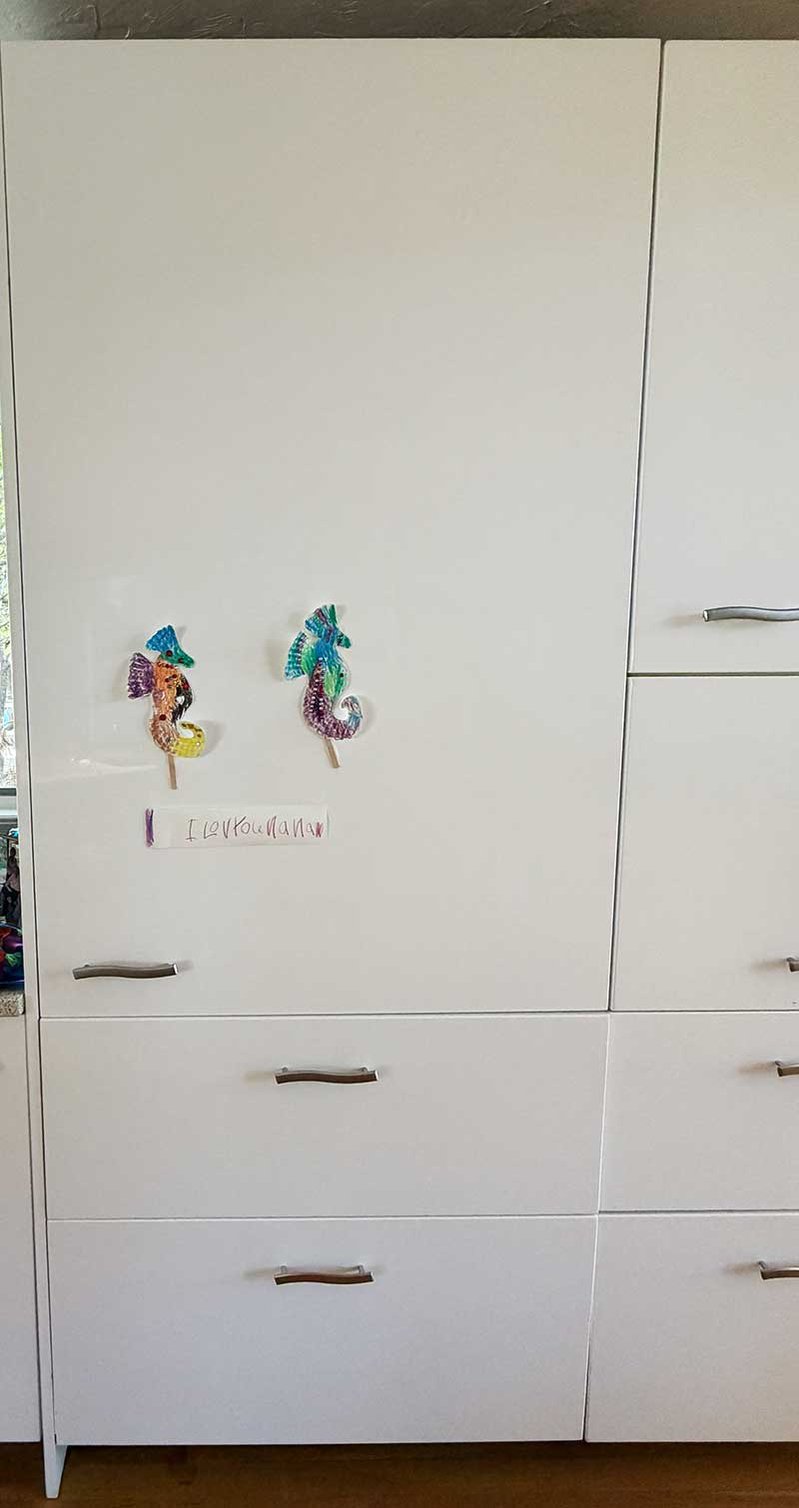 mrs-Sheinkopf-refrigerator-Sub-Zero-736-TC-2026