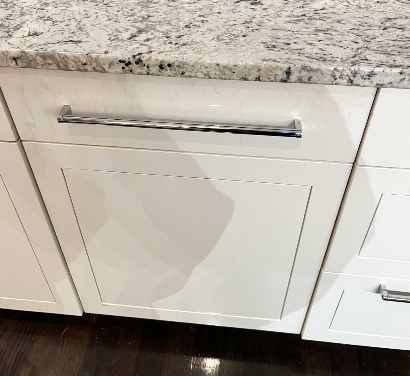 paneled-dishwasher-steves-kitchen