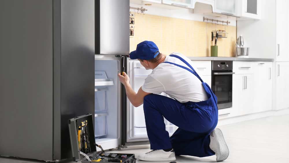 Appliance repair service for a broken refrigeratoror