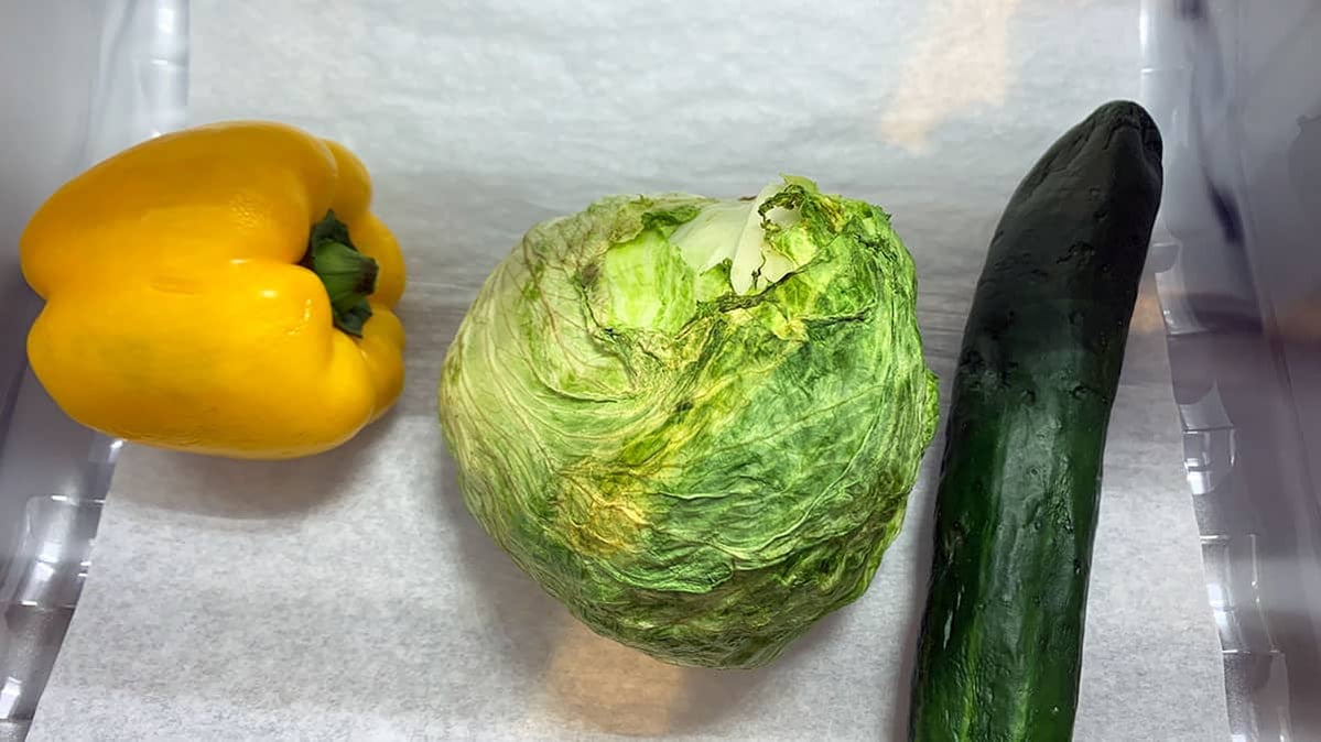 Should You Buy The Beko BFFD3624SS Counter Depth Refrigerator? (Reviews