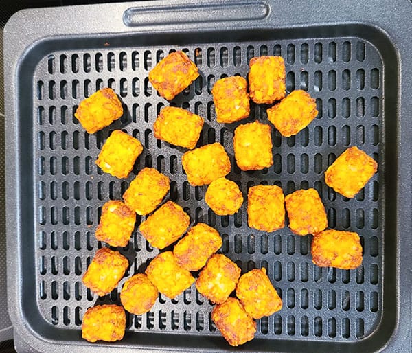 tater-tots-results-table-top-air-fryer